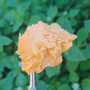 GG4 concentrate - free with 710 cap